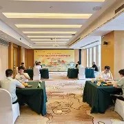 爱游戏game-克什米尔斯在主场继续保持不败，表现出色的简单介绍